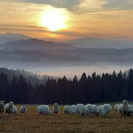 Z Balia - Dotyk Motyla * Łapsze Niżne