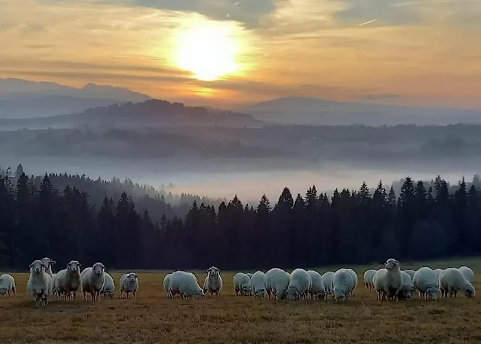Z Balia - Dotyk Motyla * Łapsze Niżne