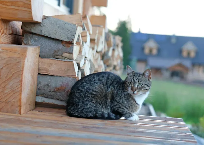 Z Balia - Dotyk Motyla * Łapsze Niżne
